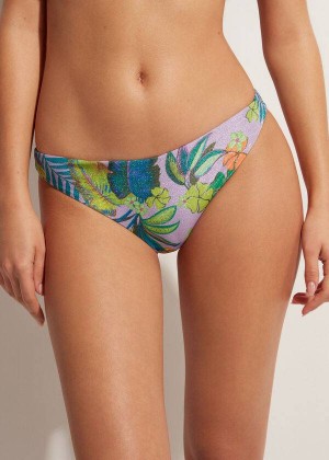 Calzedonia Brasilia Bikinihosen Damen Lila | DE2887OR