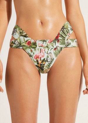 Calzedonia Brazilian Bandeau Nairobi Eco Bikinihosen Damen Grün | DE2886PQ