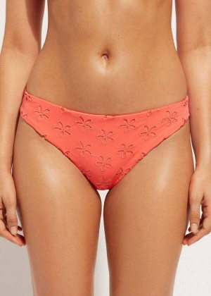 Calzedonia Corfù Bikinihosen Damen Koralle Orange | DE2819YU