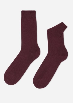 Calzedonia Crew with Cashmere Socken Herren Bordeaux | DE1350QZ