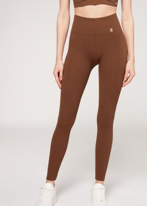 Calzedonia Fine Gerippt Seamless Sport Leggings Damen Braun | DE1542AP