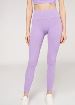 Calzedonia Fine Gerippt Seamless Sport Leggings Damen Lila | DE1541PQ