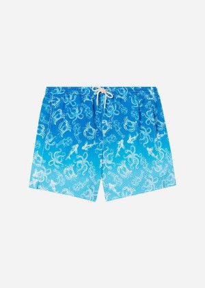 Calzedonia Formentera Badehose Herren Blau | DE1260GL