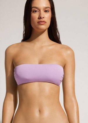 Calzedonia Gepolstert Bandeau Indonesia Eco Strapless Bikinioberteile Damen Lila | DE2383XF