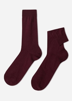 Calzedonia Lisle Thread Crew Socken Herren Bordeaux | DE1382UT