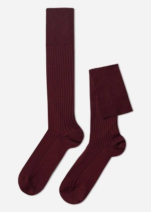 Calzedonia Lisle Thread Gerippt Long Socken Herren Bordeaux | DE1438AP