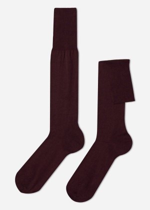 Calzedonia Lisle Thread Long Socken Herren Bordeaux | DE1430EX