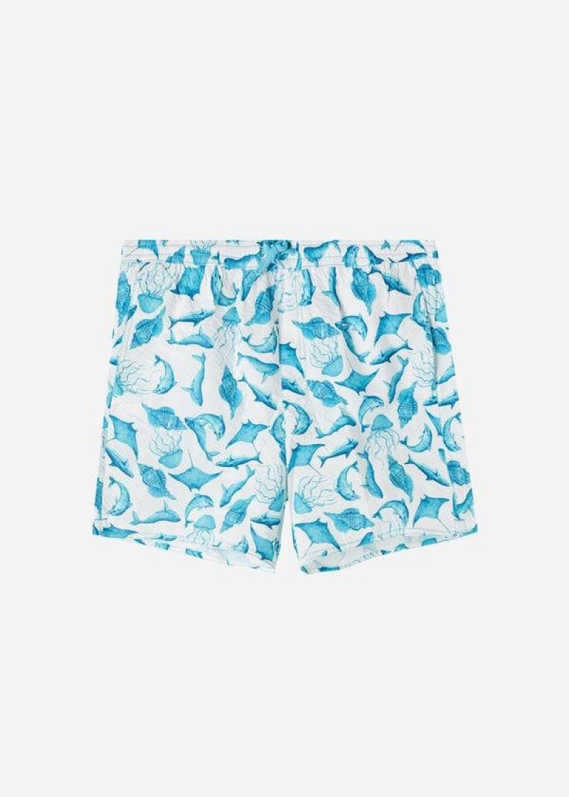 Calzedonia Formentera Badehose Herren Türkis Weiß | DE1271MA