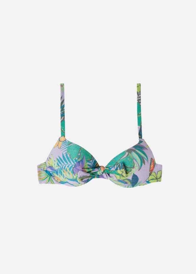 Calzedonia Graduated Push Up Brasilia Bikinioberteile Damen Lila | DE2439JJ