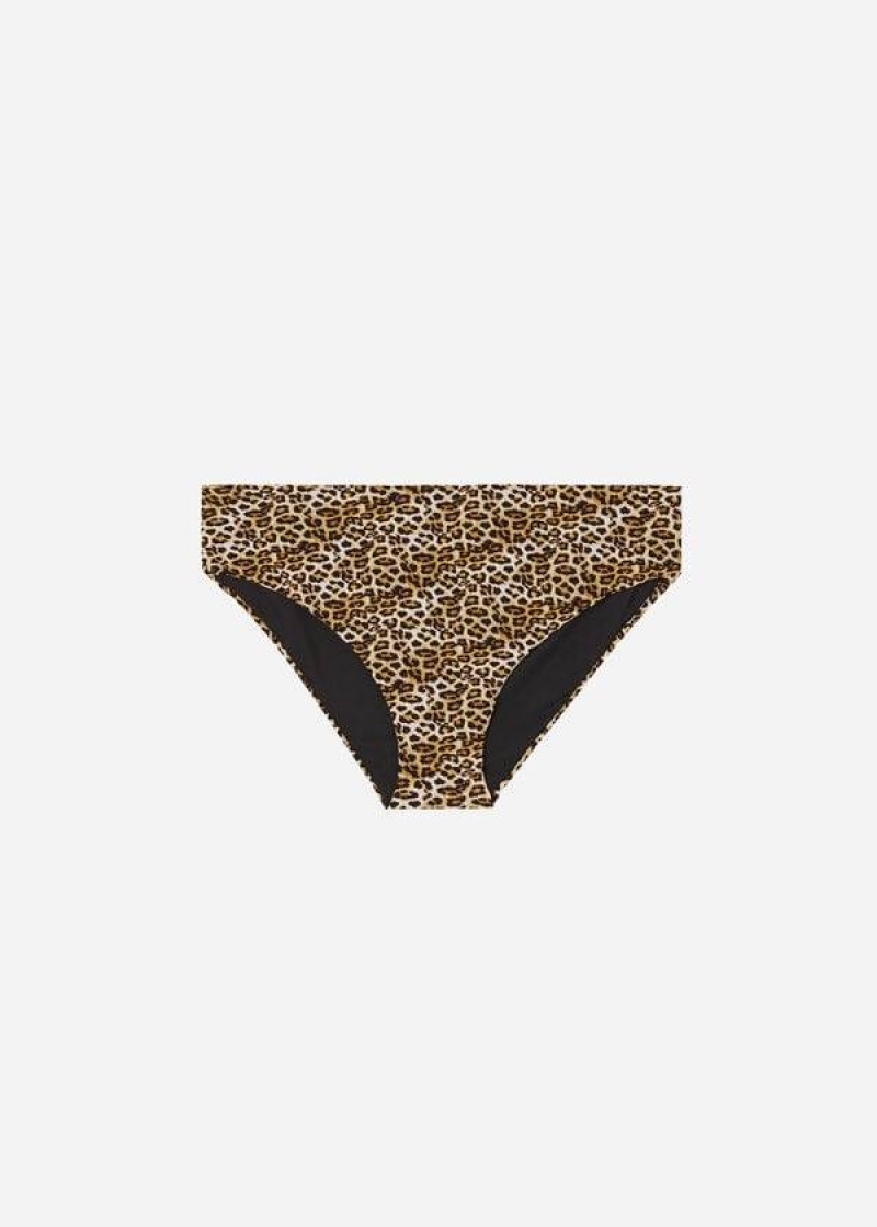 Calzedonia High Taille Malindi Bikinihosen Damen Braun | DE2756BC