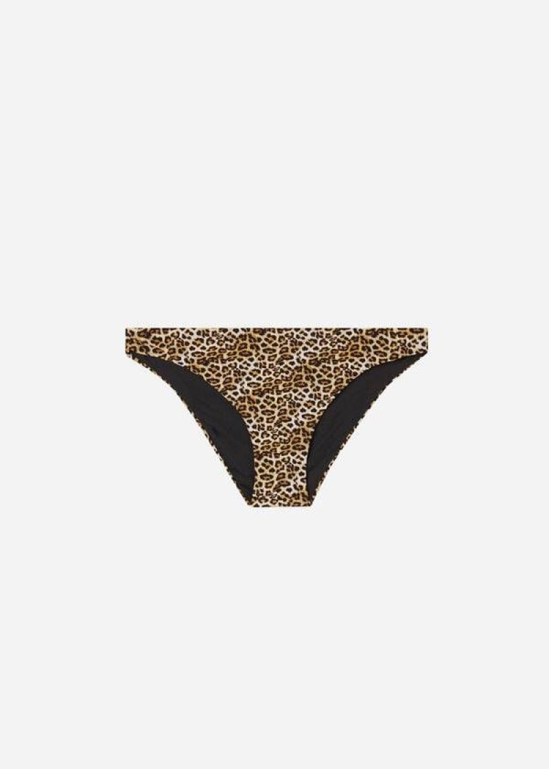 Calzedonia Malindi Bikinihosen Damen Braun | DE2692JJ