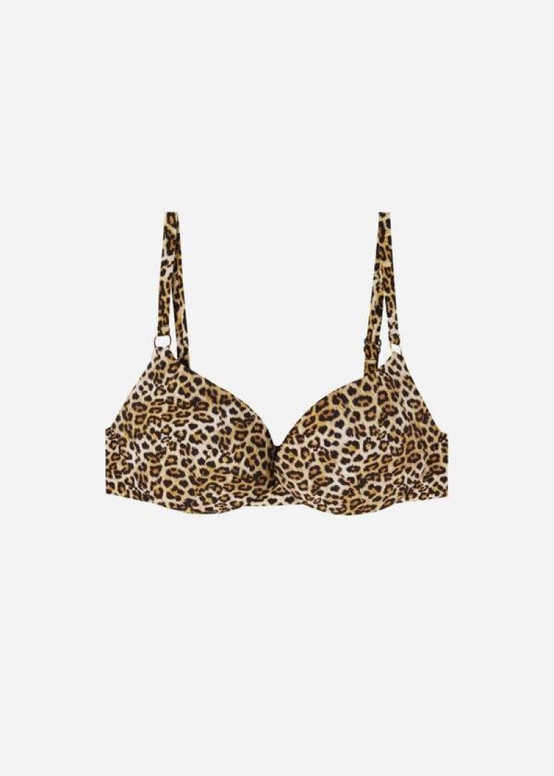 Calzedonia Push Up Malindi Bikinioberteile Damen Braun | DE2239YU