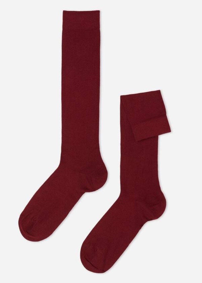 Calzedonia Warm Baumwoll Long Socken Herren Rot | DE1399BC